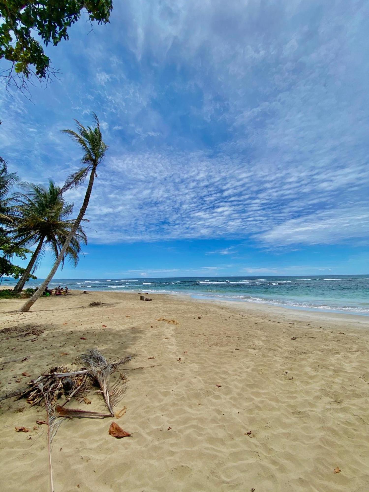 Hotel Aguas Claras Member Of The Cayuga Collection Puerto Viejo de Talamanca 外观 照片