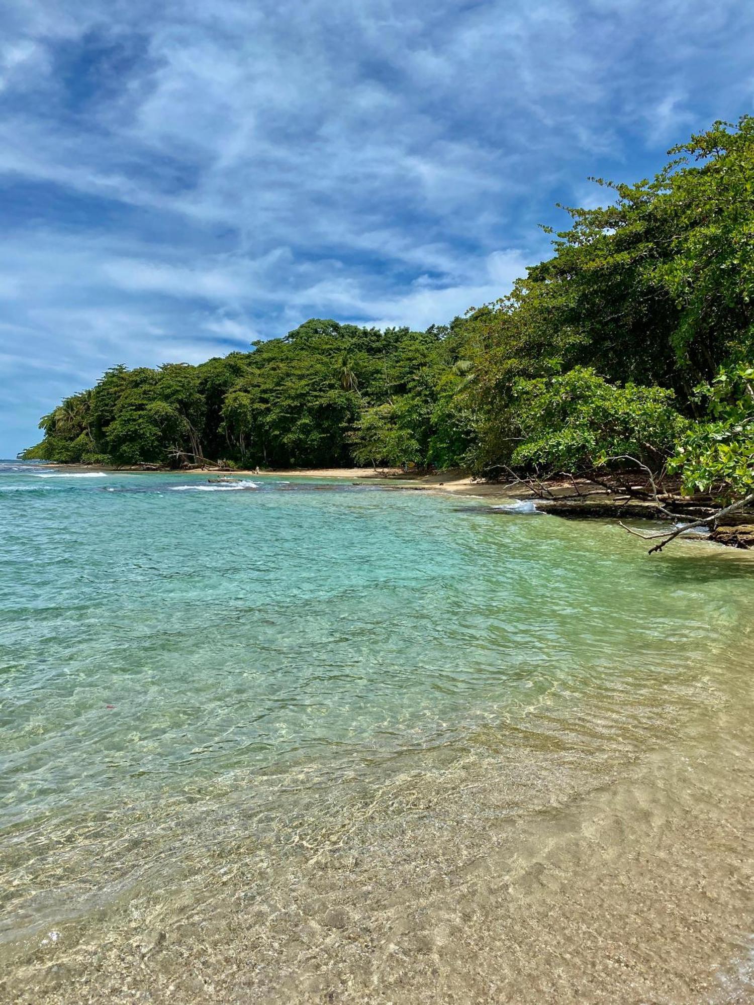 Hotel Aguas Claras Member Of The Cayuga Collection Puerto Viejo de Talamanca 外观 照片